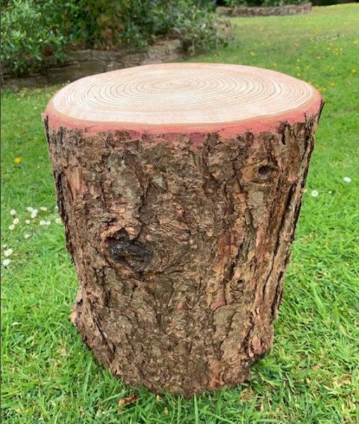 Why Real Wood Furniture Lasts a Lifetime